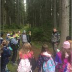 Čtvrťáci se učili v lese